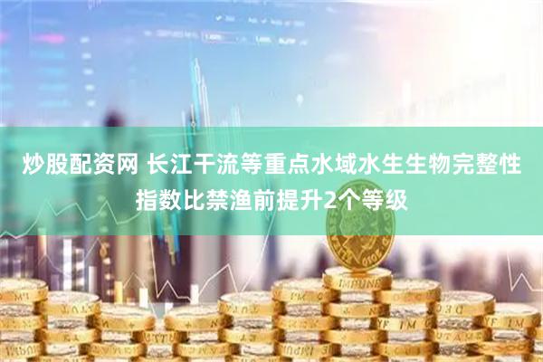 炒股配资网 长江干流等重点水域水生生物完整性指数比禁渔前提升2个等级